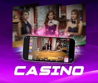 Livecasino338